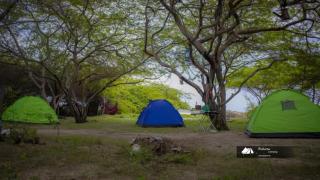 Yala Oruwella Beach Camping & Restaurants - 2