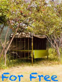 Hippo camp - Karakol - 9