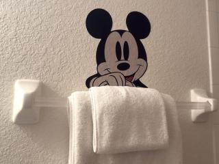 The Windsor Hideaway - Orlando - 9