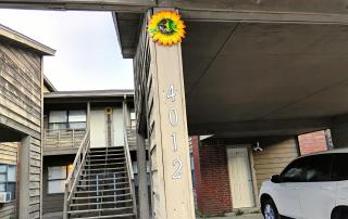 Golden Sunflower's Apt D - Lawton - 8