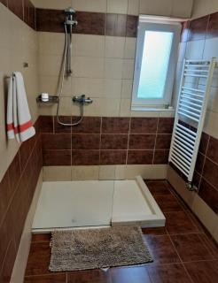 Vila Stefana Paltinis - Păltiniş - 8