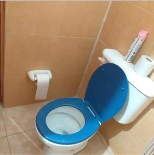 Acogedor ,tranquilo, monoambiente - 1