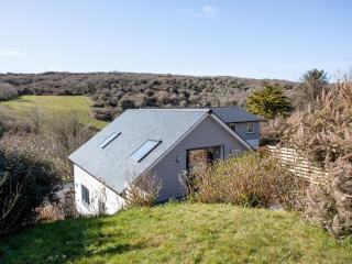 Little Foxes - Perranporth - 8