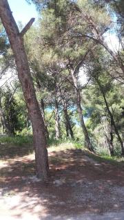 Villa Mateja - 2