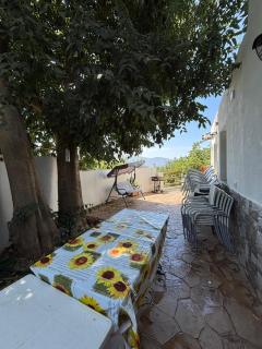 Casa rural Los Rosales - Lanjarón - 1