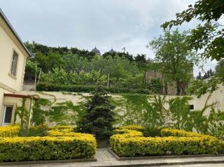 Villa Novxani - дачный домик в Новханы - 6