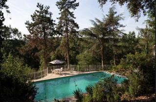 Château Stay – 1BR 4P with Pool & Park Access - 6