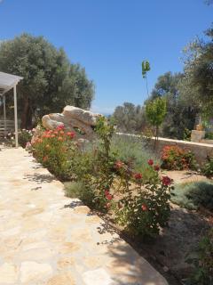 Villa Efthalia - Pitsidia - 7