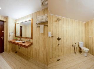 Hotel Picasso Residency near Naraina Vihar Metro Station New Delhi - 3