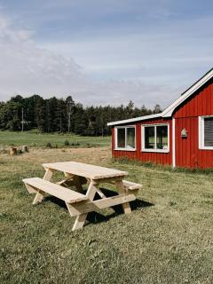 Luxurious red cottage with wood stove near lake - Nye - 5