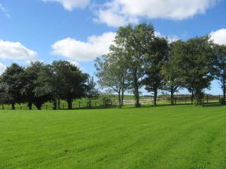 Sea View - Uk38208 - Stepaside - 1