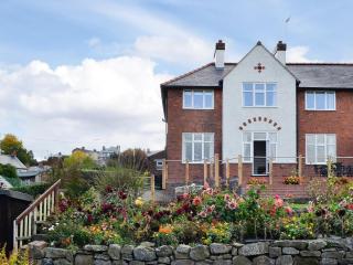 Zonnebloem - Cefn-y-bedd - 0