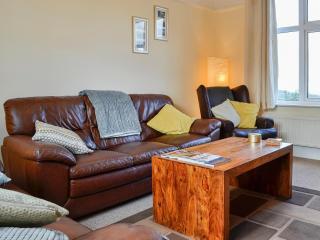 Zonnebloem - Cefn-y-bedd - 7