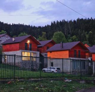 Cottage by the Forest - Bakuriani - 9