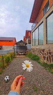Cottage by the Forest - Bakuriani - 2