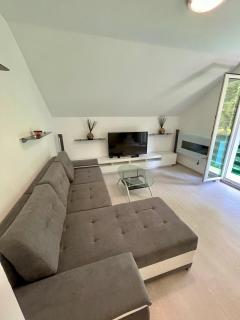 Quiet Forest Retreat with Pool - Borovnica - 7