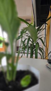 Flat in Gyumri - 8