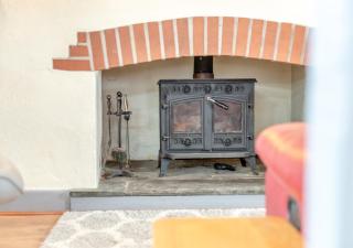 Moles Burrow - Poughill - 1