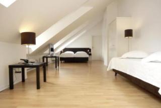 DK Hotel Heidelberg - Heidelberg - 9