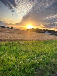 Noclegi Bartodzieje 56 -  - 6