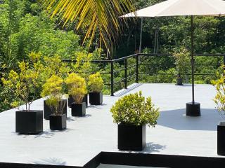 New Palms Villa Induruwa Homestay - Induruwa - 7