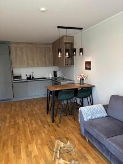 Mõisavahe street Apartment - Tartu - 6