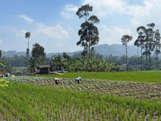Stay and Farm Hostel - 2