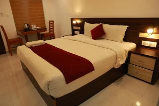 Dream Castle - Munnar - 9