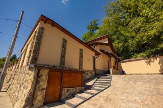 Casa Transilvania - Pool & Sauna - Mediaş - 6
