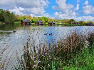 Chalet le Vairon (PMR) - Villiers-Charlemagne - 2