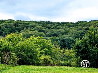 Chalet 26 Le Berthevin, Camping de Coupeau, 4 personnes - Saint-Berthevin - 5