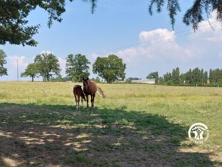 Ecurie d'Avril -  - 2