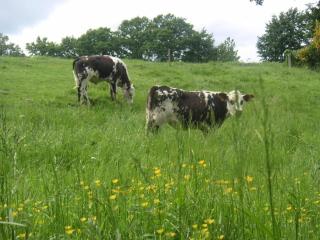 La Closerie de la Vergée - 3