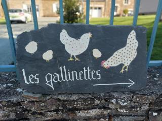 Les gallinettes - Neuilly-le-Vendin - 3