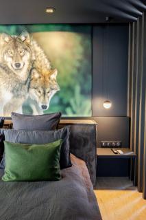 La Loge aux Loups, à 100 m du lac, piscine intérieure, sauna, cheminée, local skis vélos - 9