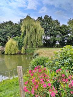 La Rose Trémière, 6 personnes - 7