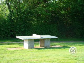 Chalet Le Brochet - 7