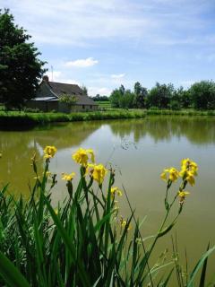 Le Bas Pineau - La Douaire - 8