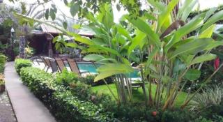 Hotel Bijagua - Fortuna - 4