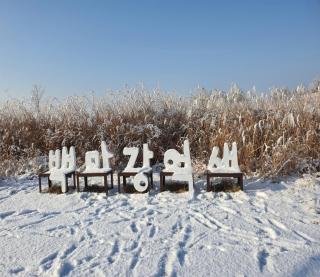 Buyeo Eoksae Jeongwon Pension - 2