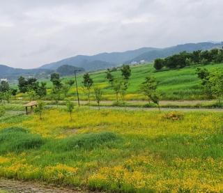 Buyeo Eoksae Jeongwon Pension - 1