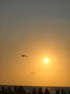 directe plage à moins de 100m - 7