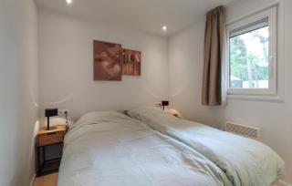 Pet Friendly Home In Hellendoorn With Sauna - 5