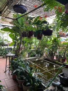 Win House - Hanoi - 7