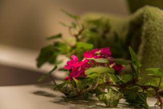 Appartements Millinger - 3