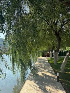 Vega Resort Restaurant & Lodge - 6
