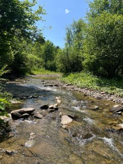 Wilczkiewiczówka - Bieszczadzki Azyl - 3