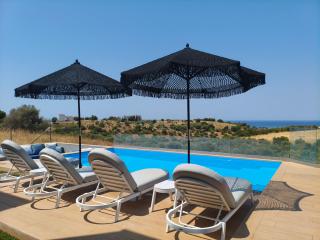 Noemia Luxury Pool Villa - 8