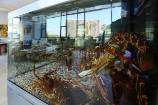 Sandton Skye Stylish Studio - Johannesburg - 5