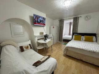 Luxury Ensuite 2nd Studio Flat With Great Views in Keedonwood Road With Fully Own Bathroom Newly Added And Private Kitchenette - Bromley - 6